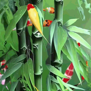 鬼节有什么顾忌