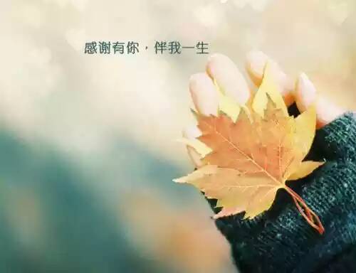 -374608ee9294ab2f