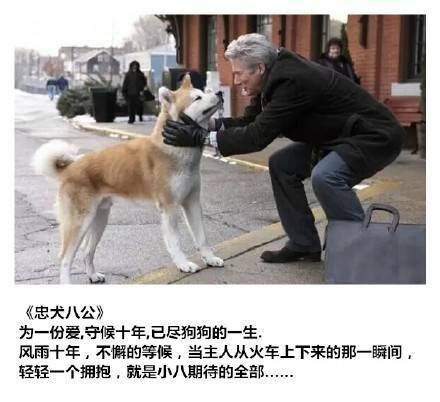 qq图片20150507182429