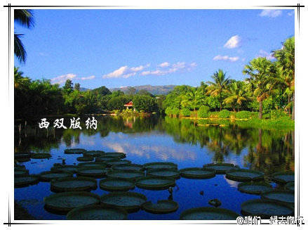 img-f2f93aaa34ba3d085eeabc0fbf11c575